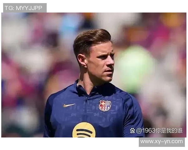 全球足球明星影响力排行榜揭晓谁是球迷心中的传奇人物