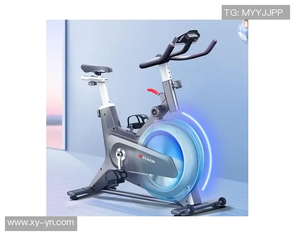 全面解析体育健身器材的多重功能与健康益处探讨