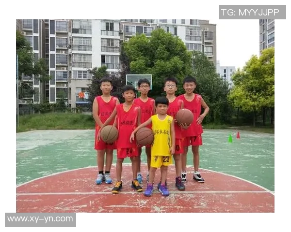 篮球培训机构招生方案全面提升青少年篮球技能与综合素质的创新策略