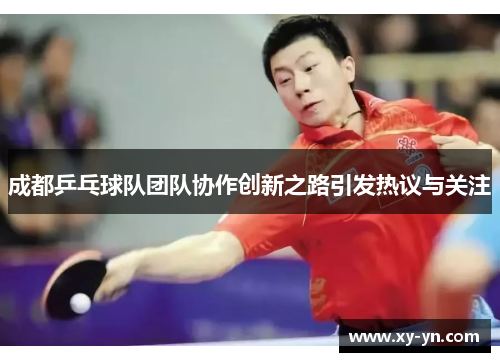 成都乒乓球队团队协作创新之路引发热议与关注