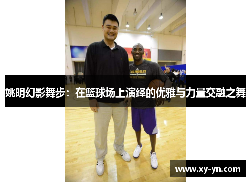 姚明幻影舞步：在篮球场上演绎的优雅与力量交融之舞