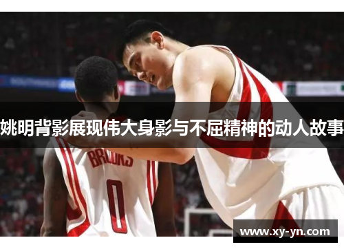 姚明背影展现伟大身影与不屈精神的动人故事